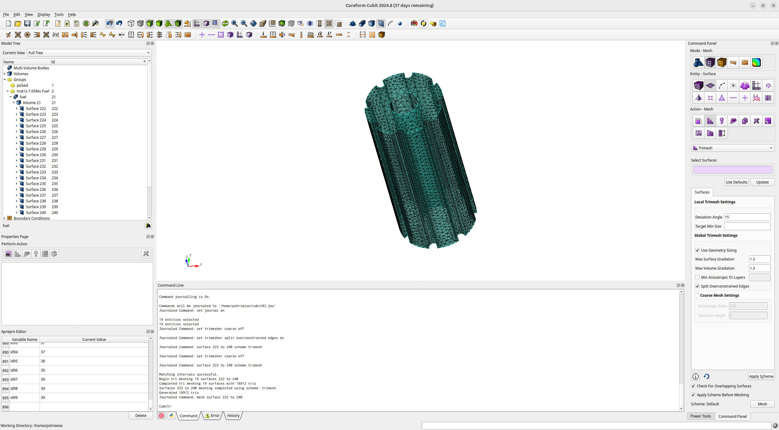 The surface mesh of the fuel volume.