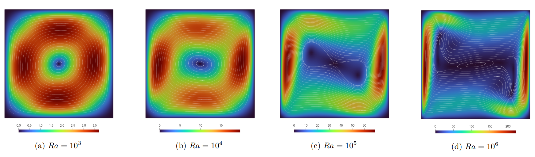 Velocity Field