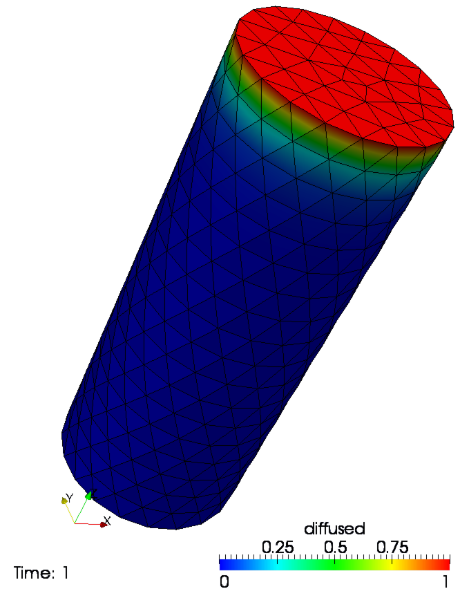 The distribution of the diffused quantity at the start of the simulation.