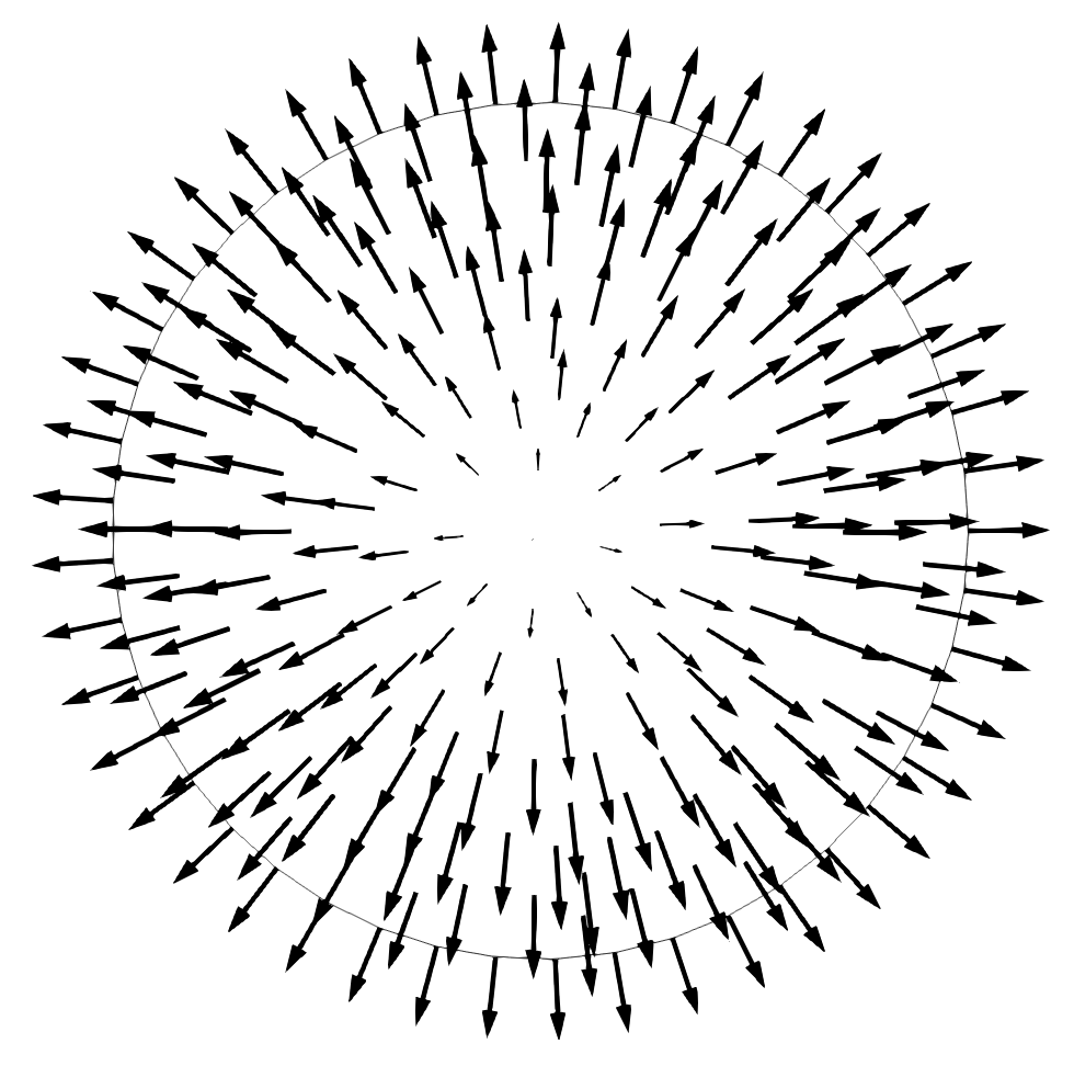 TM01 mode electric field distribution in a circular waveguide, calculated by the EM module.