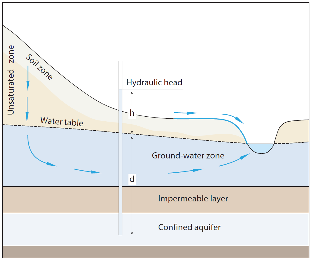 Hydraulic head, $h$, of an aquifer is measured by recording the height above the water table (the datum in this case) of groundwater in a borehole.