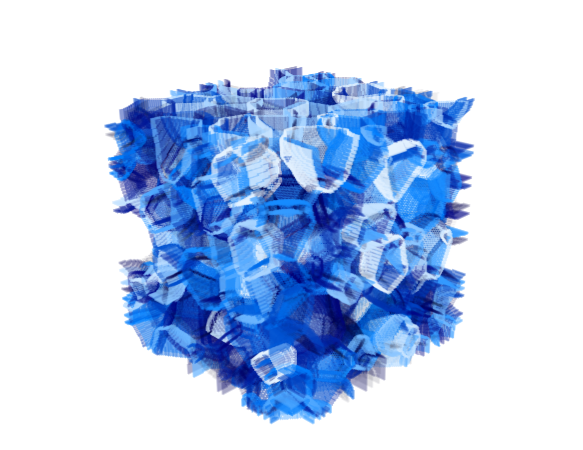 grain structure after several simulation steps.