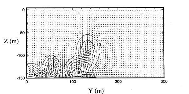 Temperature contours and velocity vectors after 2 years [!citep](Oldenburg1995OnTD).