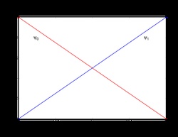 First order (linear) 1D Lagrange shape functions.