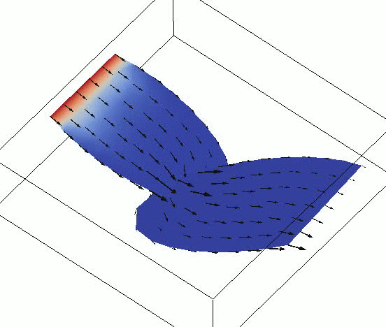 Tracer mass fraction in the 2D fractures as time progresses.