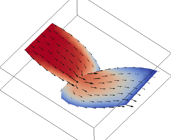 Tracer mass fraction (red means high) in two intersecting 2D fractures contained in a 3D porous medium.