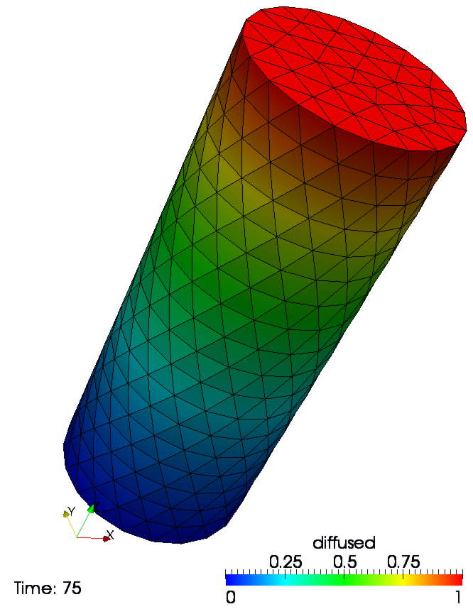 The distribution of the diffused quantity at the end of the simulation.