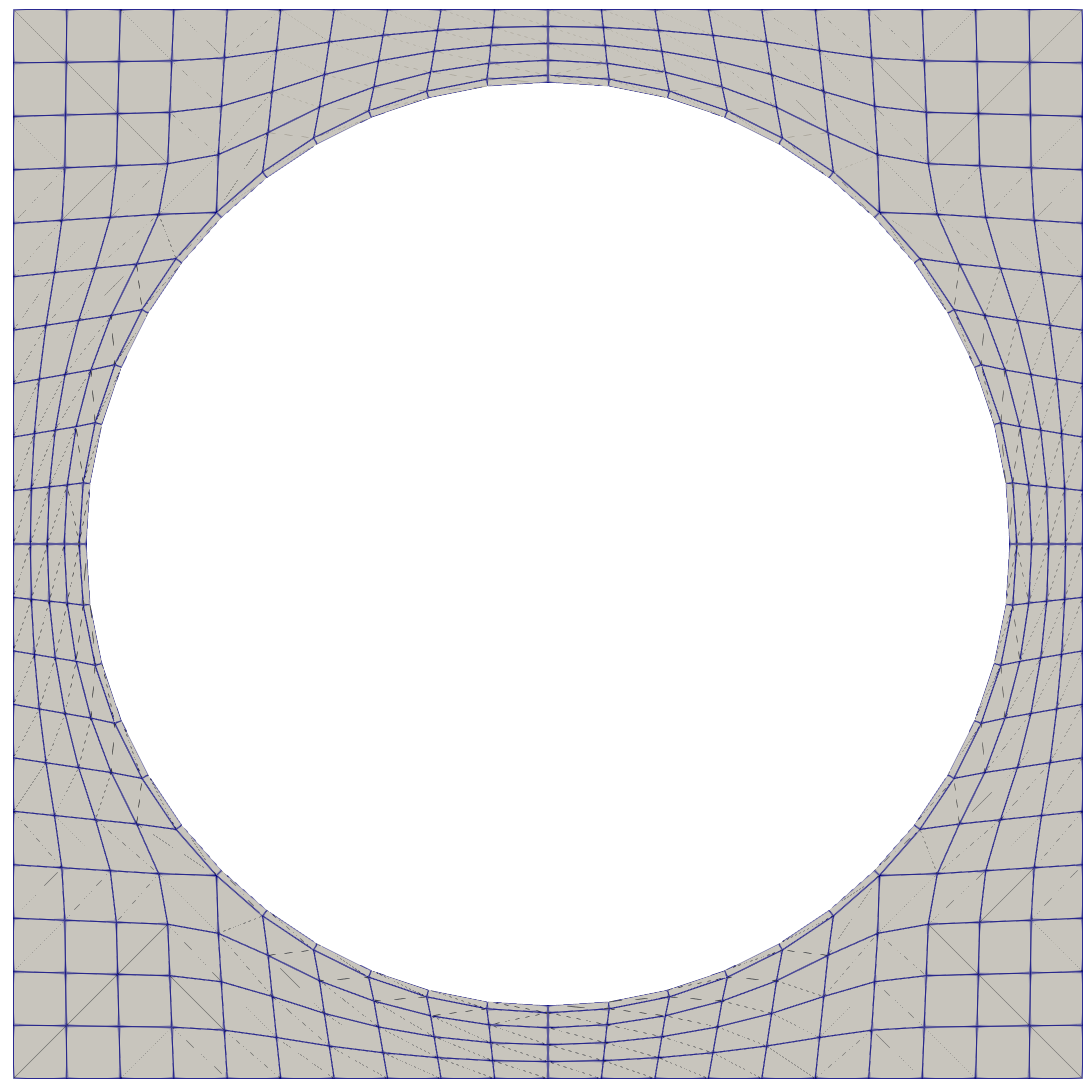 Step 1-4 mesh